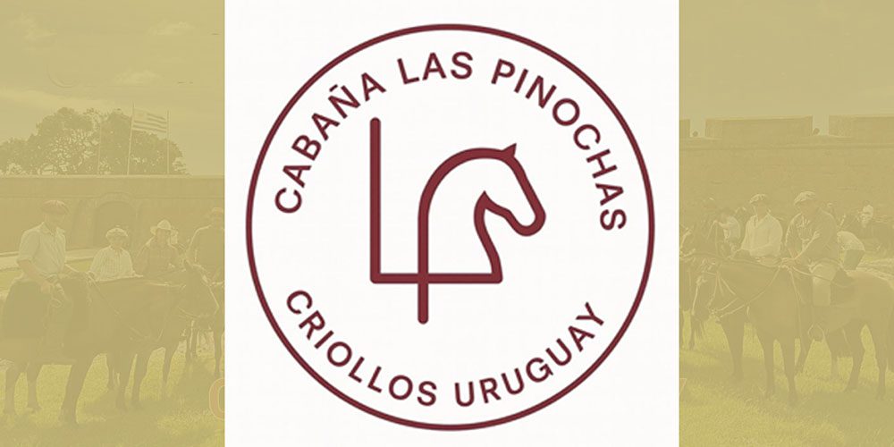 las pinochas